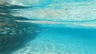 Snorkeling around the beach