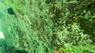 Snorkeling around the beach