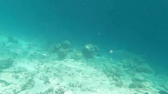 Snorkeling around the beach