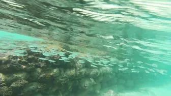 Snorkeling around the beach