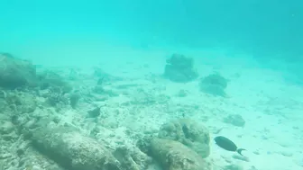 Snorkeling around the beach