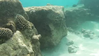 Snorkeling around the beach