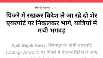 Breaking News ????  Singapore की Flight से Travel कर रहे 2 शेर Flight से निकल कर बाहर भागे यात्रियों ????.