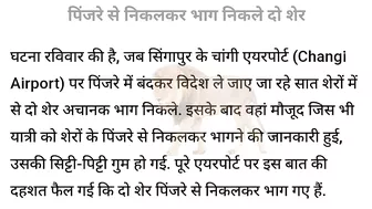 Breaking News ????  Singapore की Flight से Travel कर रहे 2 शेर Flight से निकल कर बाहर भागे यात्रियों ????.