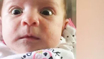 Babies Making Funny Face Compilation || Kudo Hilarious