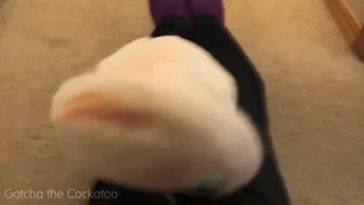 Happy Slappy Feets! | Compilation pt. 1