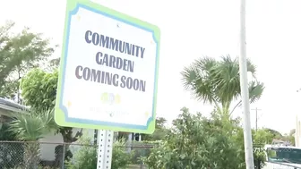 3 urban community gardens coming to West Palm Beach