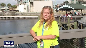 See manatees in Tampa Bay at the Apollo Beach power plant