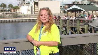 See manatees in Tampa Bay at the Apollo Beach power plant