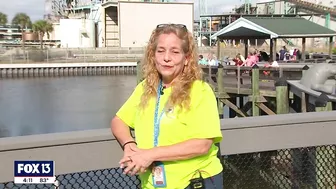 See manatees in Tampa Bay at the Apollo Beach power plant