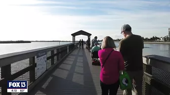 See manatees in Tampa Bay at the Apollo Beach power plant