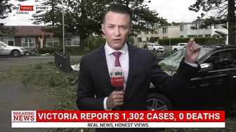 Devastation in Northern Beaches after severe thunderstorm