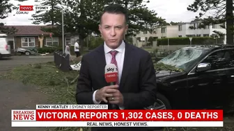 Devastation in Northern Beaches after severe thunderstorm