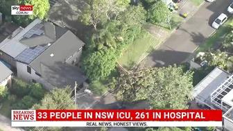 Devastation in Northern Beaches after severe thunderstorm