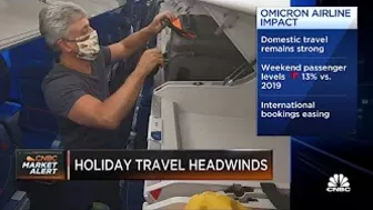 Domestic holiday travel remains strong despite omicron variant