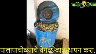 Home Composting series होम कंपोस्टींग models होम कंपोस्टींग करण्याची विविध प्रकारचे साधणं