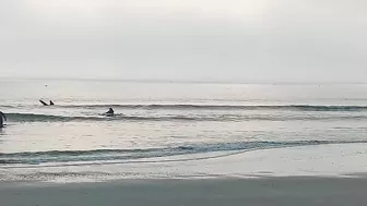 North Florida Surf and Beach Update 715am 12.26.2021