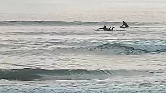 North Florida Surf and Beach Update 715am 12.26.2021