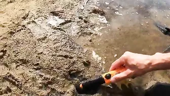 Big gold finding on the beach