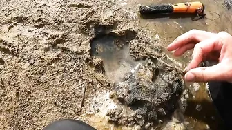 Big gold finding on the beach