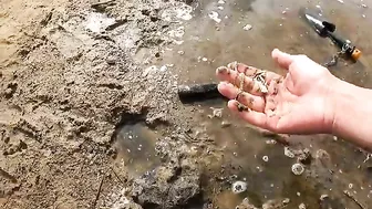 Big gold finding on the beach