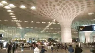 Delhi Airport Latest Travel Rules For Domestic and International Passengers