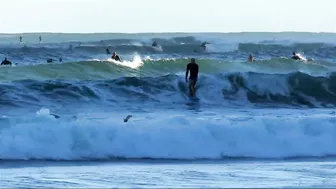 Noosa Main Beach and Bar. Monday morning, January 3, 2022.