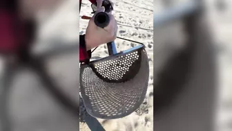 Beach Metal Detecting