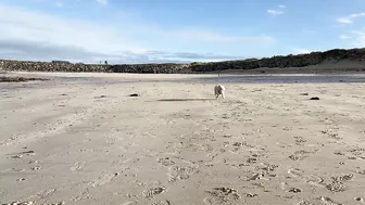 This Beach Is Beautiful At High Tide | Guernsey Channel Islands????