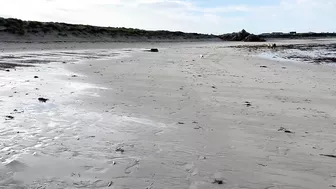 This Beach Is Beautiful At High Tide | Guernsey Channel Islands????