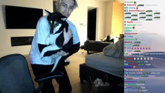 xQc Brings Buddha's Dog on Stream