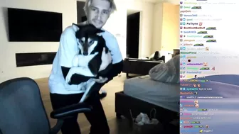 xQc Brings Buddha's Dog on Stream