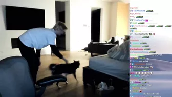 xQc Brings Buddha's Dog on Stream