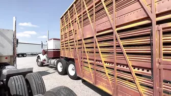 Moving a Trailer for the First Time: 1971 Kenworth W900A & 1966 Wilson