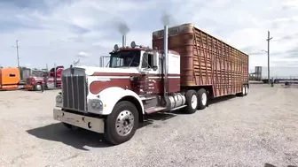 Moving a Trailer for the First Time: 1971 Kenworth W900A & 1966 Wilson