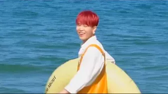 if bts at the beach was dubbed