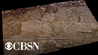 Dinosaur footprints found on beach in Wales may be 200 million years old, researchers say