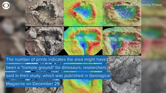 Dinosaur footprints found on beach in Wales may be 200 million years old, researchers say