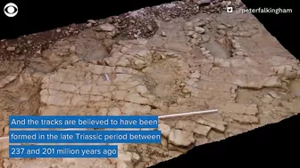 Dinosaur footprints found on beach in Wales may be 200 million years old, researchers say