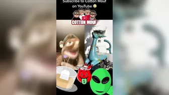 What would you do? | Cotton Mouf TikTok Reactions