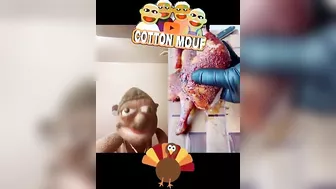 What would you do? | Cotton Mouf TikTok Reactions