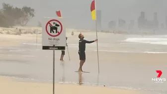 Clean-up on Gold Coast beaches to wait until after high tide| 7NEWS