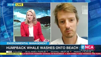 Environmental Management | Humpback whale washes onto beach