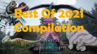 Best of 2021 Clips | Beasts of Bermuda