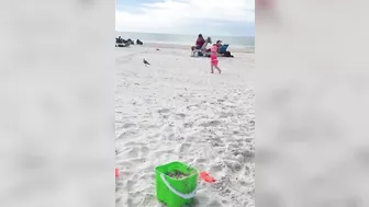 Super Funny Babies On The Beach || Kudo Hilarious