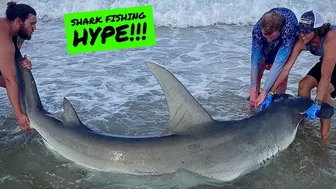 EVERY SHARK We've Caught In 2021!!! | Shark Fishing From The Beach!