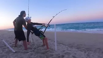 EVERY SHARK We've Caught In 2021!!! | Shark Fishing From The Beach!