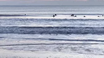 Clean/Small Florida Surfing January 6, 2022 7:20am