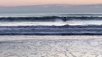 Clean/Small Florida Surfing January 6, 2022 7:20am