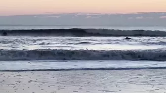 Clean/Small Florida Surfing January 6, 2022 7:20am